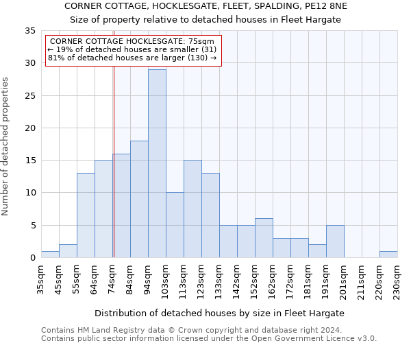 CORNER COTTAGE, HOCKLESGATE, FLEET, SPALDING, PE12 8NE: Size of property relative to detached houses in Fleet Hargate
