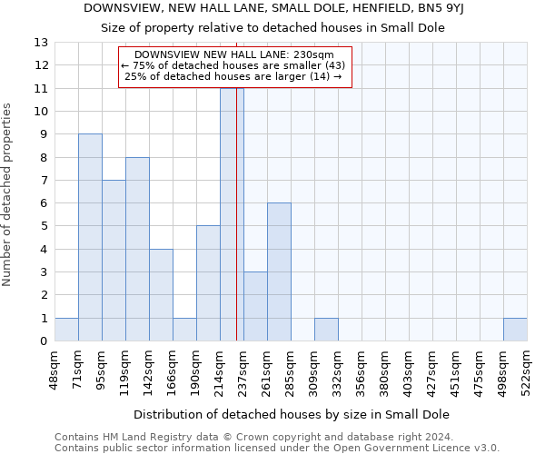 DOWNSVIEW, NEW HALL LANE, SMALL DOLE, HENFIELD, BN5 9YJ: Size of property relative to detached houses in Small Dole