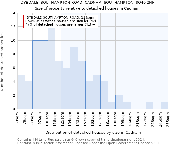 DYBDALE, SOUTHAMPTON ROAD, CADNAM, SOUTHAMPTON, SO40 2NF: Size of property relative to detached houses in Cadnam
