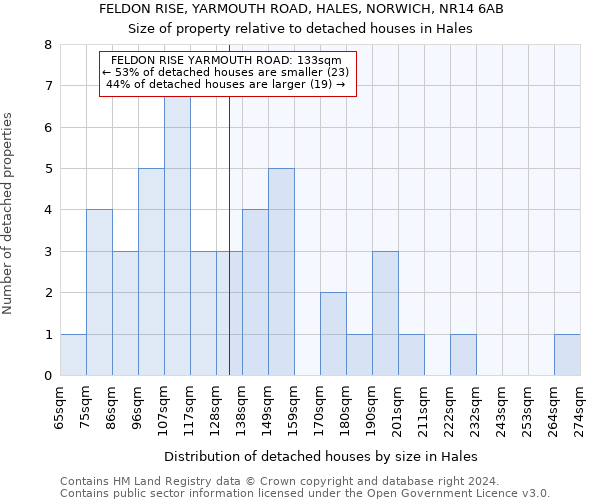 FELDON RISE, YARMOUTH ROAD, HALES, NORWICH, NR14 6AB: Size of property relative to detached houses in Hales