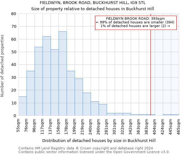 FIELDWYN, BROOK ROAD, BUCKHURST HILL, IG9 5TL: Size of property relative to detached houses in Buckhurst Hill