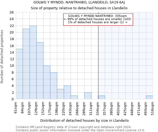 GOLWG Y MYNDD, NANTRHIBO, LLANDEILO, SA19 6AJ: Size of property relative to detached houses in Llandeilo