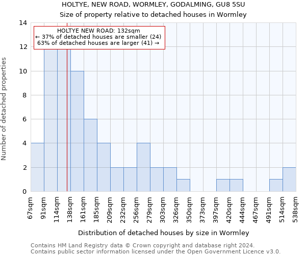 HOLTYE, NEW ROAD, WORMLEY, GODALMING, GU8 5SU: Size of property relative to detached houses in Wormley