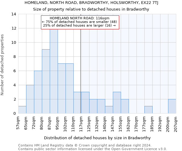 HOMELAND, NORTH ROAD, BRADWORTHY, HOLSWORTHY, EX22 7TJ: Size of property relative to detached houses in Bradworthy