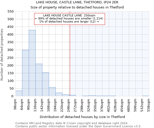 LAKE HOUSE, CASTLE LANE, THETFORD, IP24 2ER: Size of property relative to detached houses in Thetford