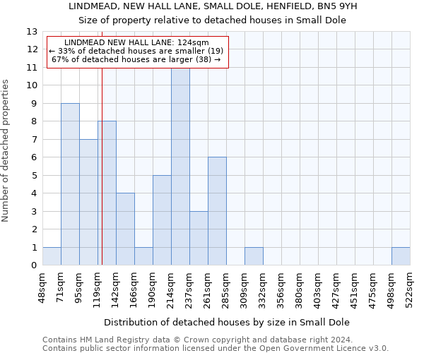 LINDMEAD, NEW HALL LANE, SMALL DOLE, HENFIELD, BN5 9YH: Size of property relative to detached houses in Small Dole