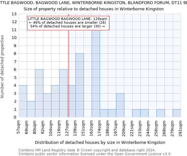 LITTLE BAGWOOD, BAGWOOD LANE, WINTERBORNE KINGSTON, BLANDFORD FORUM, DT11 9BB: Size of property relative to detached houses in Winterborne Kingston