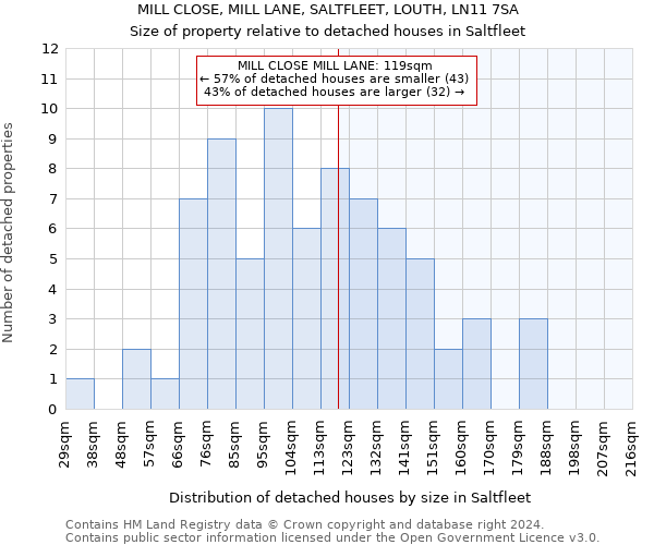 MILL CLOSE, MILL LANE, SALTFLEET, LOUTH, LN11 7SA: Size of property relative to detached houses in Saltfleet