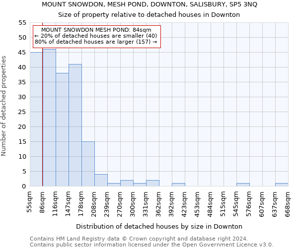 MOUNT SNOWDON, MESH POND, DOWNTON, SALISBURY, SP5 3NQ: Size of property relative to detached houses in Downton