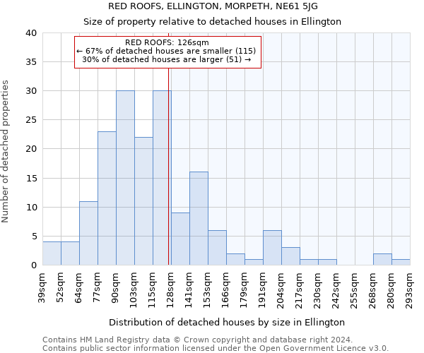 RED ROOFS, ELLINGTON, MORPETH, NE61 5JG: Size of property relative to detached houses in Ellington