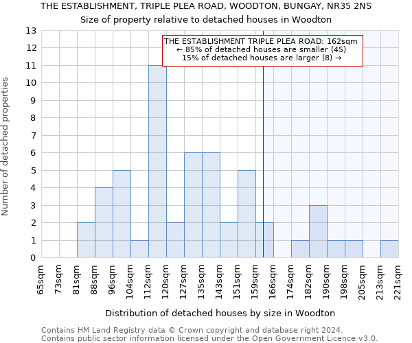 THE ESTABLISHMENT, TRIPLE PLEA ROAD, WOODTON, BUNGAY, NR35 2NS: Size of property relative to detached houses in Woodton