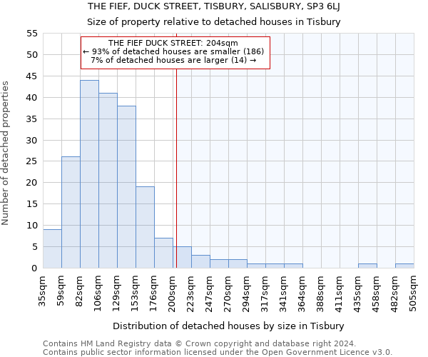 THE FIEF, DUCK STREET, TISBURY, SALISBURY, SP3 6LJ: Size of property relative to detached houses in Tisbury