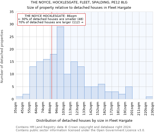 THE NOYCE, HOCKLESGATE, FLEET, SPALDING, PE12 8LG: Size of property relative to detached houses in Fleet Hargate