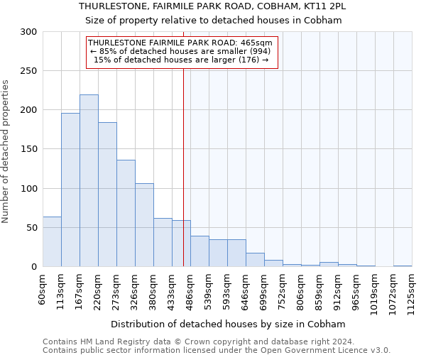 THURLESTONE, FAIRMILE PARK ROAD, COBHAM, KT11 2PL: Size of property relative to detached houses in Cobham