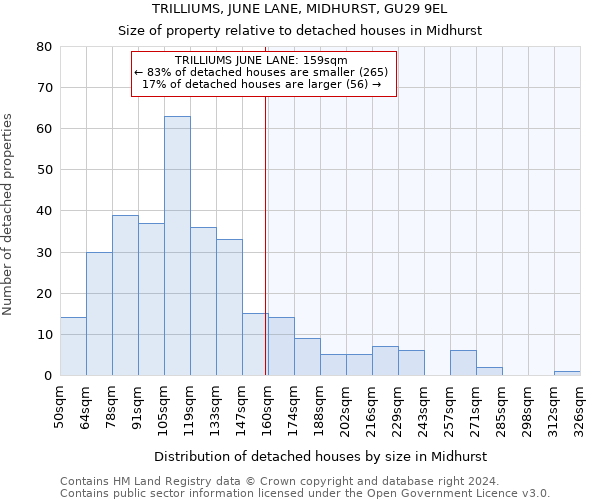 TRILLIUMS, JUNE LANE, MIDHURST, GU29 9EL: Size of property relative to detached houses in Midhurst