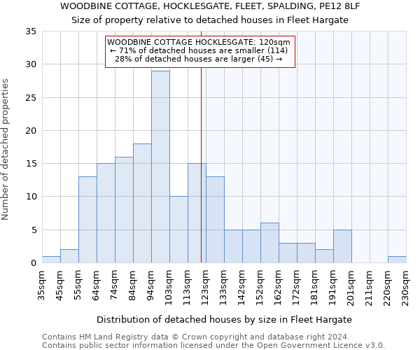 WOODBINE COTTAGE, HOCKLESGATE, FLEET, SPALDING, PE12 8LF: Size of property relative to detached houses in Fleet Hargate