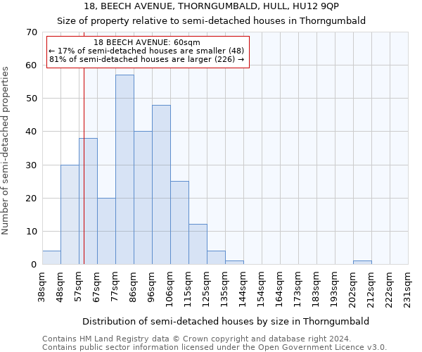 18, BEECH AVENUE, THORNGUMBALD, HULL, HU12 9QP: Size of property relative to detached houses in Thorngumbald