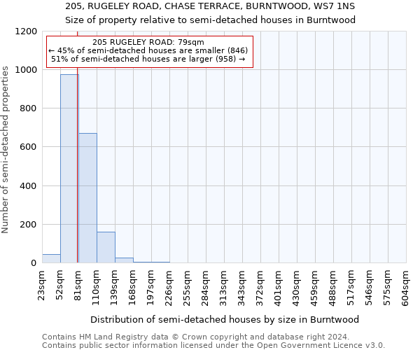 205, RUGELEY ROAD, CHASE TERRACE, BURNTWOOD, WS7 1NS: Size of property relative to detached houses in Burntwood