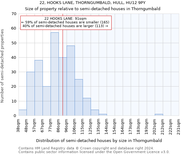 22, HOOKS LANE, THORNGUMBALD, HULL, HU12 9PY: Size of property relative to detached houses in Thorngumbald