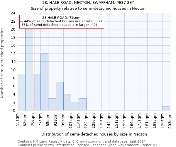 28, HALE ROAD, NECTON, SWAFFHAM, PE37 8EY: Size of property relative to detached houses in Necton