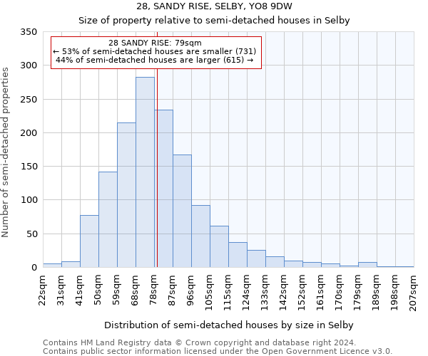 28, SANDY RISE, SELBY, YO8 9DW: Size of property relative to detached houses in Selby