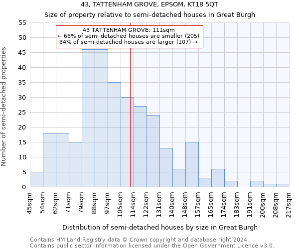 43, TATTENHAM GROVE, EPSOM, KT18 5QT: Size of property relative to detached houses in Great Burgh