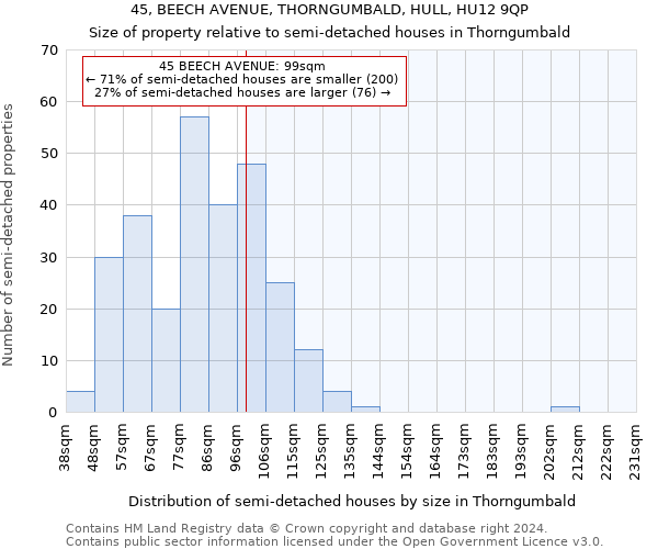 45, BEECH AVENUE, THORNGUMBALD, HULL, HU12 9QP: Size of property relative to detached houses in Thorngumbald