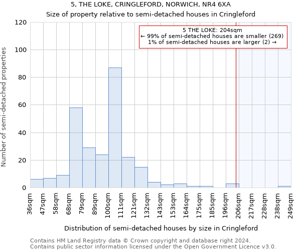 5, THE LOKE, CRINGLEFORD, NORWICH, NR4 6XA: Size of property relative to detached houses in Cringleford