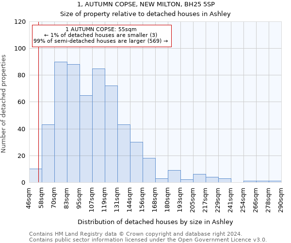 1, AUTUMN COPSE, NEW MILTON, BH25 5SP: Size of property relative to detached houses in Ashley