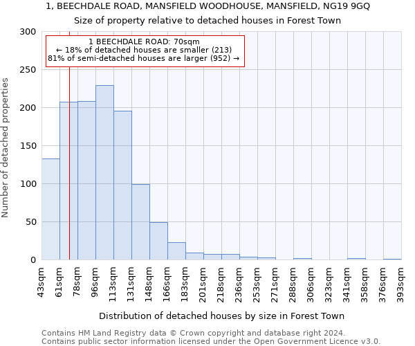1, BEECHDALE ROAD, MANSFIELD WOODHOUSE, MANSFIELD, NG19 9GQ: Size of property relative to detached houses in Forest Town
