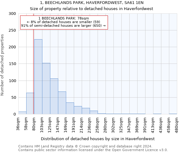 1, BEECHLANDS PARK, HAVERFORDWEST, SA61 1EN: Size of property relative to detached houses in Haverfordwest