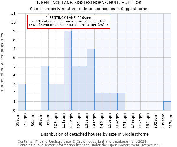 1, BENTINCK LANE, SIGGLESTHORNE, HULL, HU11 5QR: Size of property relative to detached houses in Sigglesthorne