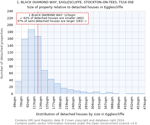 1, BLACK DIAMOND WAY, EAGLESCLIFFE, STOCKTON-ON-TEES, TS16 0SE: Size of property relative to detached houses in Egglescliffe