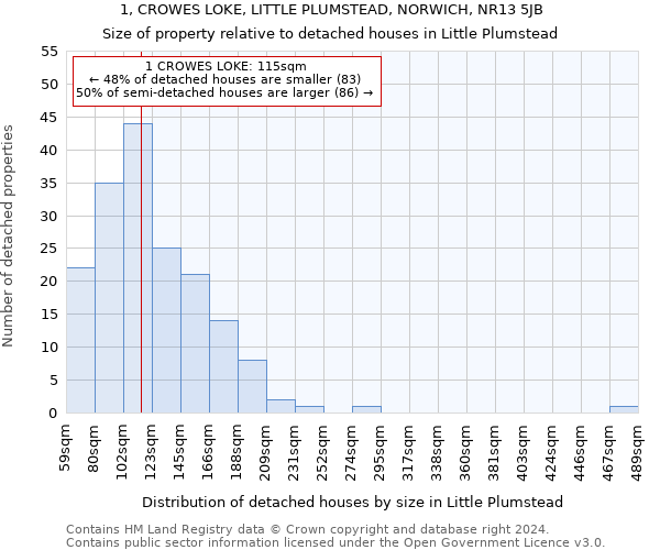1, CROWES LOKE, LITTLE PLUMSTEAD, NORWICH, NR13 5JB: Size of property relative to detached houses in Little Plumstead