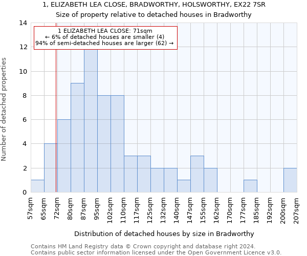 1, ELIZABETH LEA CLOSE, BRADWORTHY, HOLSWORTHY, EX22 7SR: Size of property relative to detached houses in Bradworthy