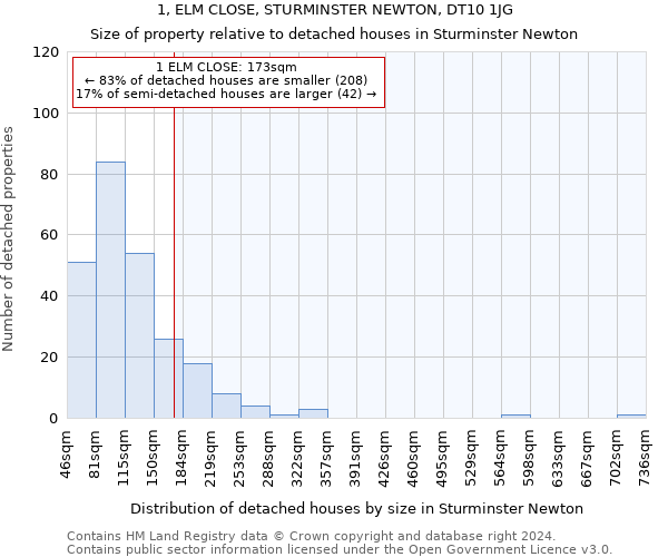 1, ELM CLOSE, STURMINSTER NEWTON, DT10 1JG: Size of property relative to detached houses in Sturminster Newton