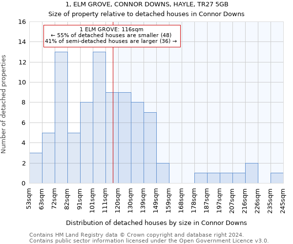 1, ELM GROVE, CONNOR DOWNS, HAYLE, TR27 5GB: Size of property relative to detached houses in Connor Downs