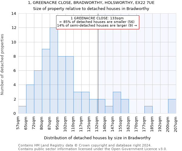 1, GREENACRE CLOSE, BRADWORTHY, HOLSWORTHY, EX22 7UE: Size of property relative to detached houses in Bradworthy