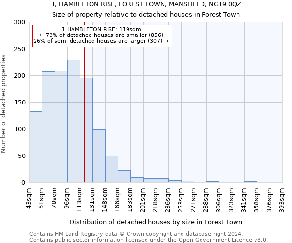 1, HAMBLETON RISE, FOREST TOWN, MANSFIELD, NG19 0QZ: Size of property relative to detached houses in Forest Town