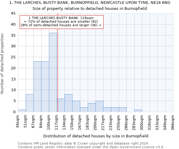 1, THE LARCHES, BUSTY BANK, BURNOPFIELD, NEWCASTLE UPON TYNE, NE16 6NG: Size of property relative to detached houses in Burnopfield