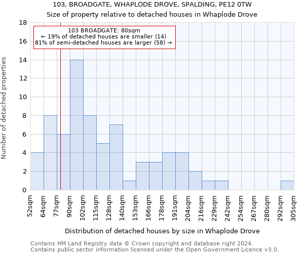 103, BROADGATE, WHAPLODE DROVE, SPALDING, PE12 0TW: Size of property relative to detached houses in Whaplode Drove