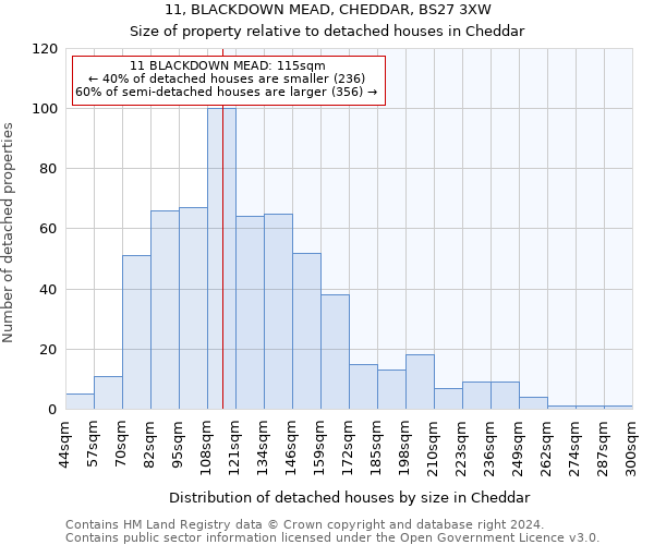 11, BLACKDOWN MEAD, CHEDDAR, BS27 3XW: Size of property relative to detached houses in Cheddar