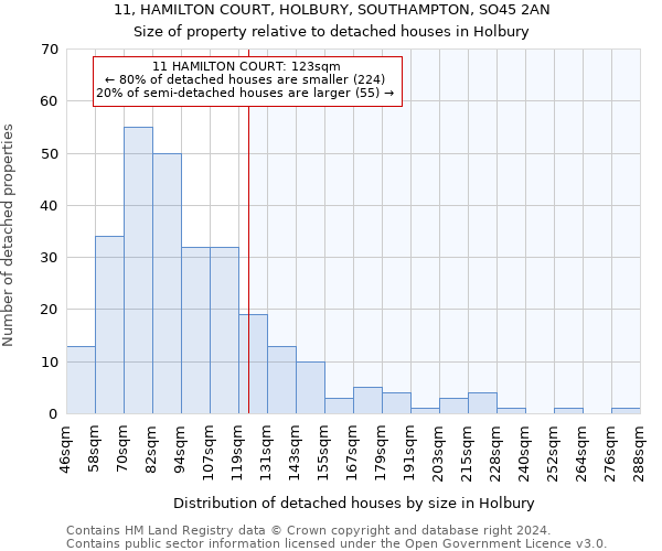 11, HAMILTON COURT, HOLBURY, SOUTHAMPTON, SO45 2AN: Size of property relative to detached houses in Holbury