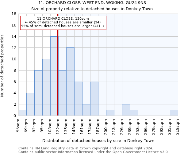 11, ORCHARD CLOSE, WEST END, WOKING, GU24 9NS: Size of property relative to detached houses in Donkey Town