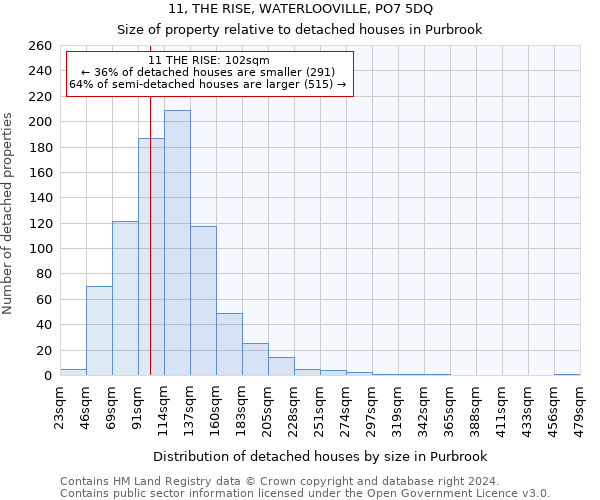 11, THE RISE, WATERLOOVILLE, PO7 5DQ: Size of property relative to detached houses in Purbrook