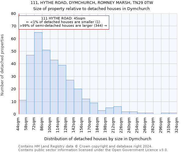111, HYTHE ROAD, DYMCHURCH, ROMNEY MARSH, TN29 0TW: Size of property relative to detached houses in Dymchurch