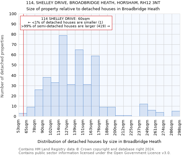 114, SHELLEY DRIVE, BROADBRIDGE HEATH, HORSHAM, RH12 3NT: Size of property relative to detached houses in Broadbridge Heath