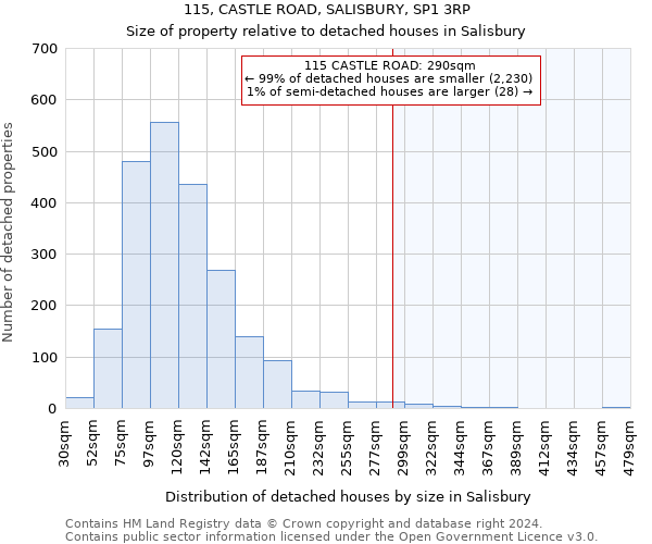 115, CASTLE ROAD, SALISBURY, SP1 3RP: Size of property relative to detached houses in Salisbury