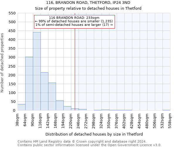 116, BRANDON ROAD, THETFORD, IP24 3ND: Size of property relative to detached houses in Thetford