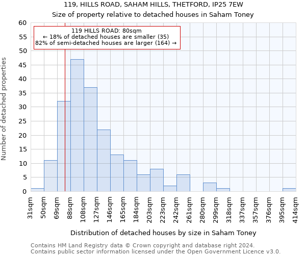 119, HILLS ROAD, SAHAM HILLS, THETFORD, IP25 7EW: Size of property relative to detached houses in Saham Toney